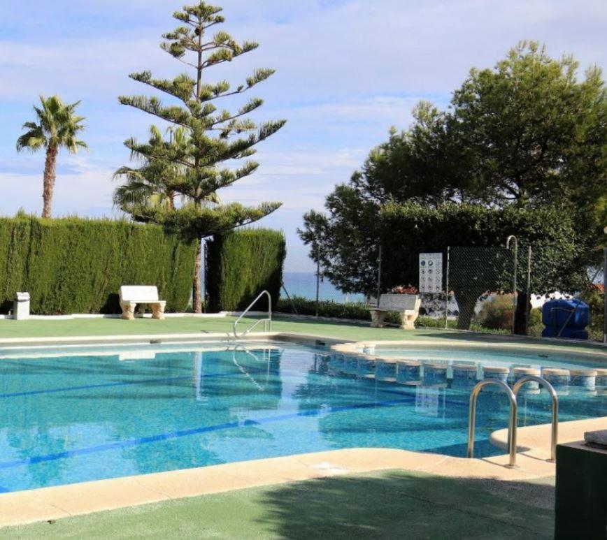 Apartment With Sea View, La Mata Τορεβιέχα Εξωτερικό φωτογραφία